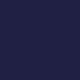 Navy Bullet Point